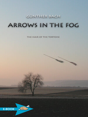 cover image of Arrows In the Fog